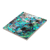 Abalone seashell natuur detail tegeltje (Zijkant)