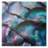 Abalone Shell Abstract Pattern Tegeltje (Voorkant)