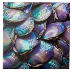 Abalone Shell Abstract Pattern Tegeltje