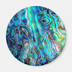 Abalone shell magneet