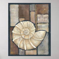 Abalone Shell