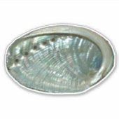 Abalone Shell Sticker (Voorkant)