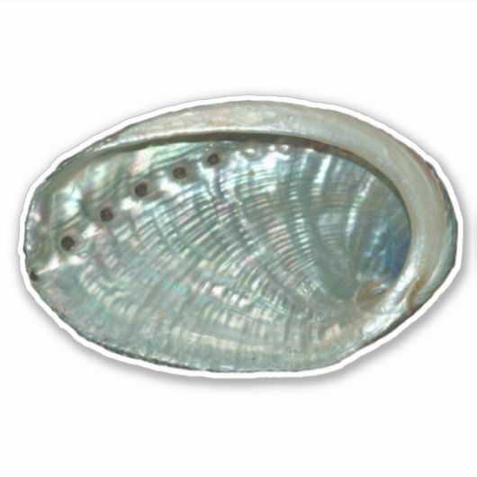 Abalone Shell Sticker (Voorkant)