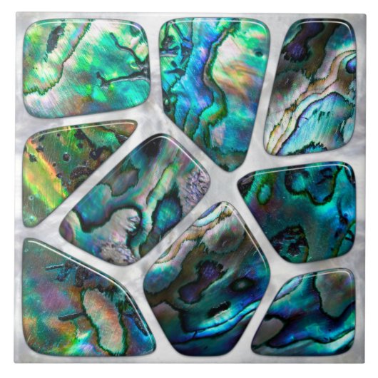 Abalone shell textuur - Cellen collage N1 Tegeltje (Voorkant)