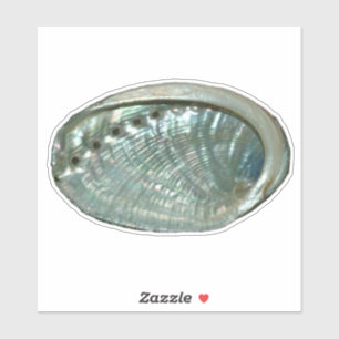 Abalone Sticker