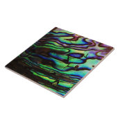 ABALONE TEGELTJE (Zijkant)