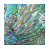 Abalone Tegeltje (Voorkant)