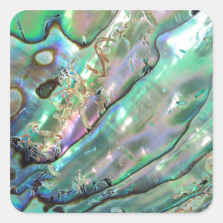 Abalone Vierkante Sticker