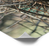 Abandoned Bird Nest Poster (Hoek)