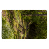 Abandoned Railroad In A Forest Magneet (Horizontaal)