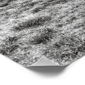 ABANDONED WAGONS VAN BANNACK MONTANA GHOST TOWN POSTER (Hoek)