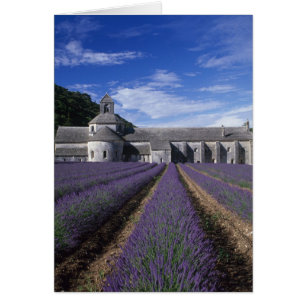 Abbaye de Senanque, Gordes, Vaucluse, Provence,