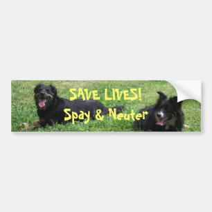 Abbey en Roxy zeggen: BESPAAR LEVEN! Spay & Neuter Bumpersticker