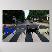 Abbey Road Cats Poster (Voorkant)