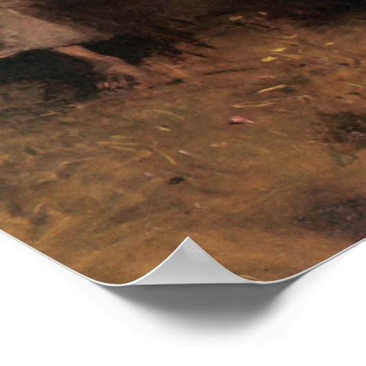 Abbott Handerson Thayer Une Affiche Vierge (Coin)