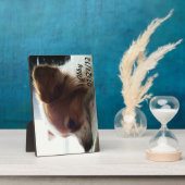 Abby 2012 fotoplaat (Zijkant)