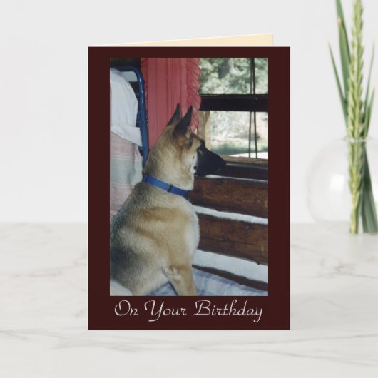 Abby attend la carte d'anniversaire (Devant)