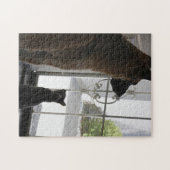 Abby avec Zorro au puzzle avant de porte (Horizontal)