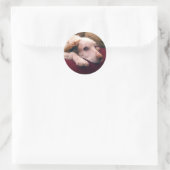 Abby Brittany Spaniel Ronde Sticker (Tas)