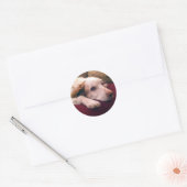 Abby Brittany Spaniel Ronde Sticker (Envelop)