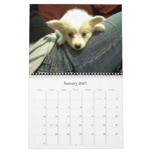 Abby Custom Agenda Kalender (Jan 2027)