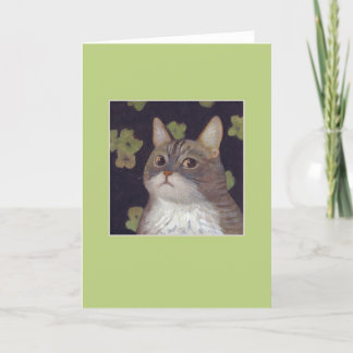 Abby de kat kaart