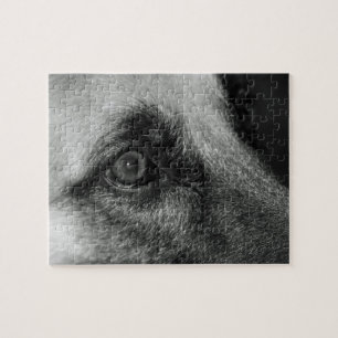 Abby German Shepherd Watchewing Eye Puzzle