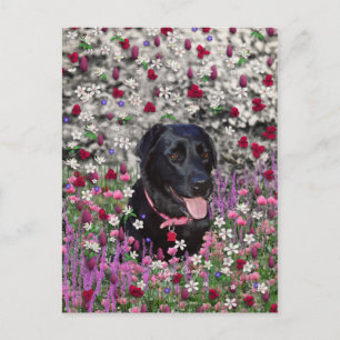 Abby in bloemen - Black Lab Dog Briefkaart