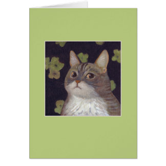 Abby le chat