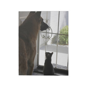 Abby met Zorro aan de voorkant Blocnote