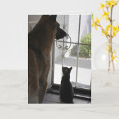 Abby met Zorro-Jubileum kaart (Gele Bloem)