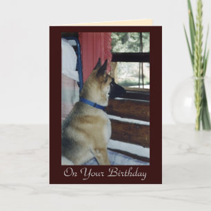 Abby wacht de Kaart van de Verjaardag