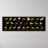 ABC Whimsical Bugs Poster (Voorkant)