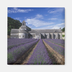 Abdij van Sénanque, Gordes, Vaucluse, Provence, Magneet