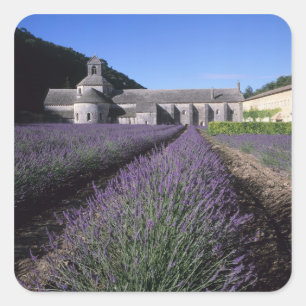 Abdij van Sénanque, Gordes, Vaucluse, Provence, Vierkante Sticker