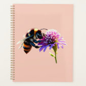 Abee (Devant)