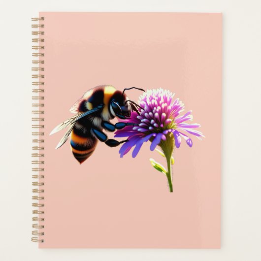 Abee (Devant)