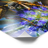 Abee Aware 10" x 8", Kodak Pro Photo Paper (Satin) (Coin)