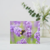 Abee Sur Lavender Penser À Vous Carte Postale (Debout devant)