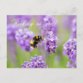 Abee Sur Lavender Penser À Vous Carte Postale (Devant)