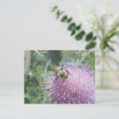 Abeille à bourdon sur une carte postale de chardon (Debout devant)