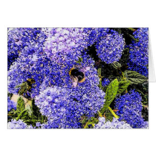 Abeille à fleurs
