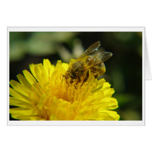 Abeille au travail