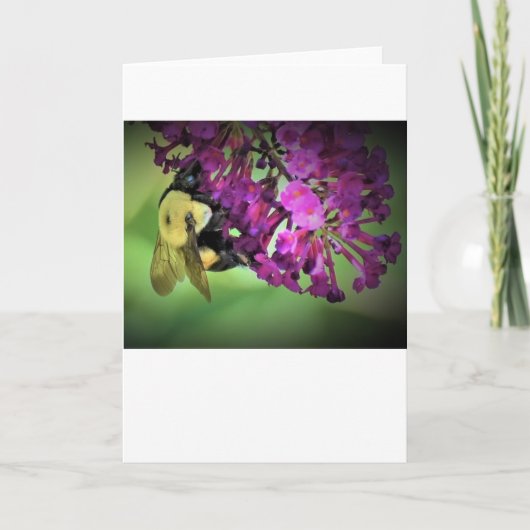 Abeille, carte (Devant)