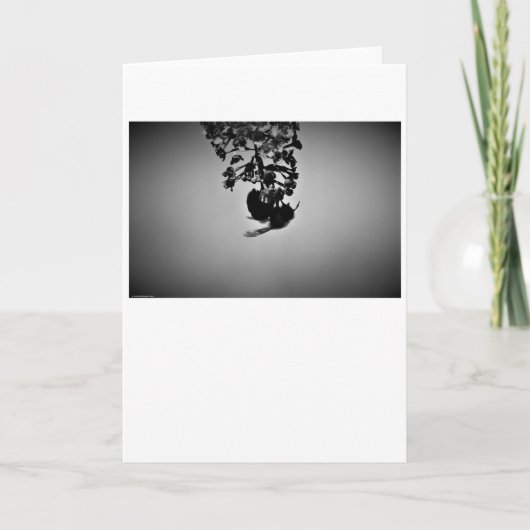Abeille, carte (Devant)