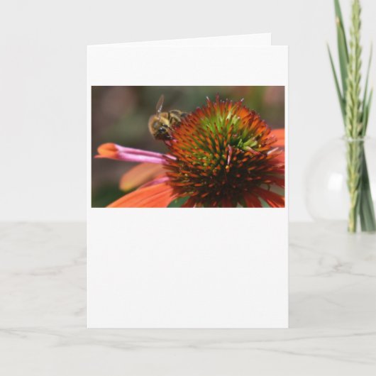 Abeille, carte (Devant)