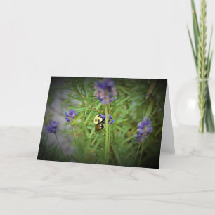 Abeille, carte