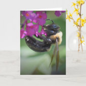 Abeille, carte (Fleur jaune)