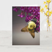 Abeille, carte (Fleur jaune)