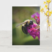 Abeille, carte (Fleur jaune)